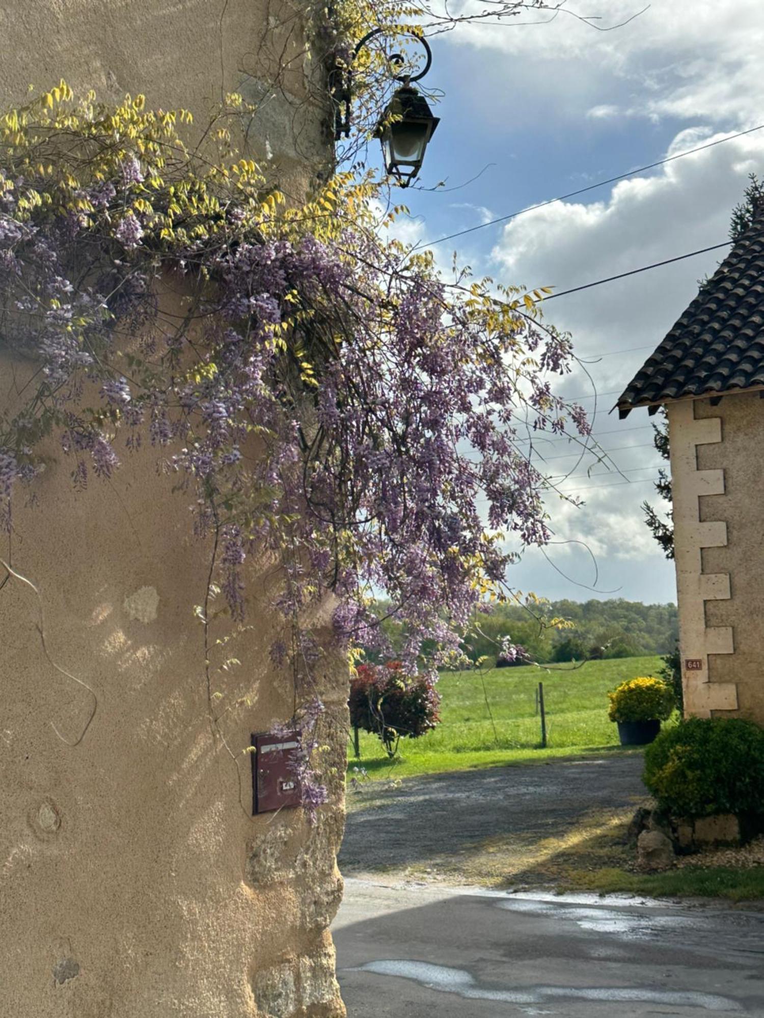 Le Chatenet 1689 Brantôme Exteriör bild